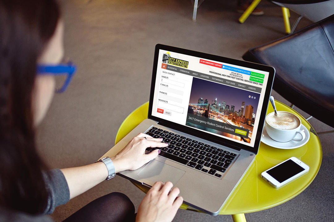 Website Design