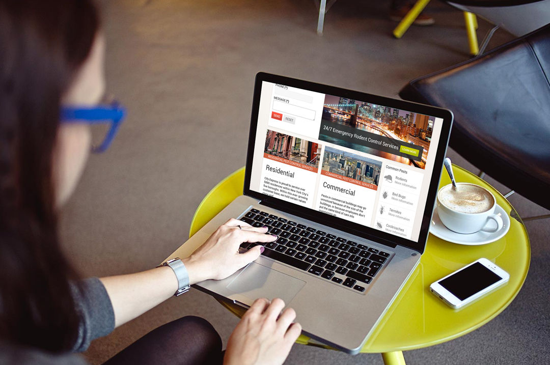Website Design